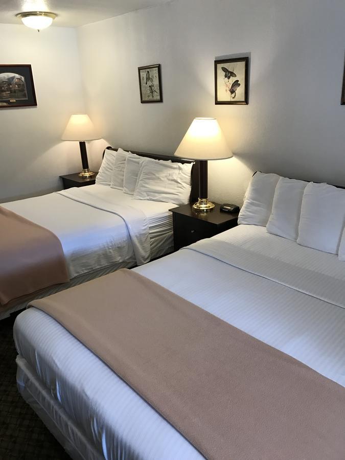 Gold Pan Lodge Quincy Екстериор снимка